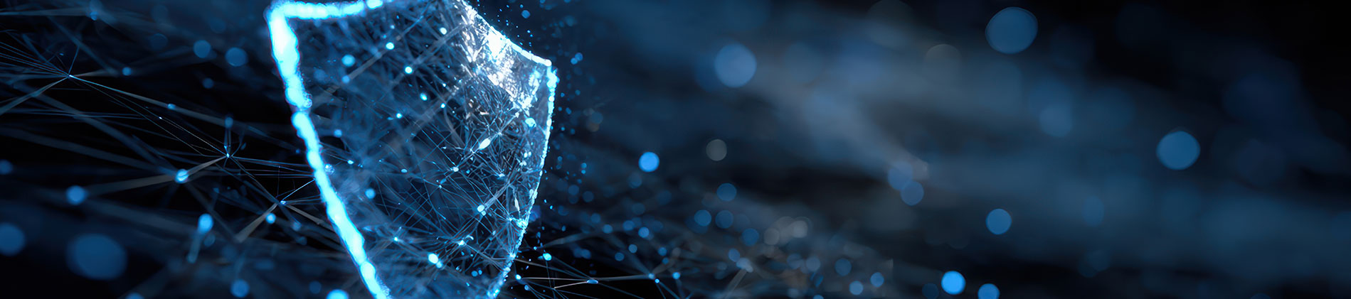 Cyber Security